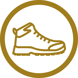 Piedi